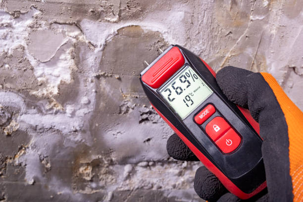 Best Post-Flood Mold Remediation in Timonium, MD