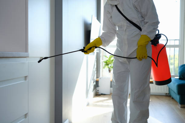 Best Bathroom Mold Remediation in Timonium, MD