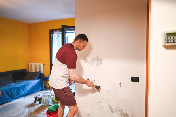 Best White Mold Remediation in Timonium, MD
